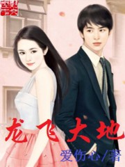 龙飞大地小说txt完整版下载-龙飞大地电子书免费下载