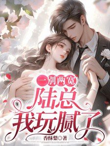 一别两宽,陆总我玩腻了!小说txt完整版下载-一别两宽,陆总我玩腻了!电子书免费下载