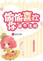 偷偷喜欢你，藏不住啦小说txt完整版下载-偷偷喜欢你，藏不住啦电子书免费下载