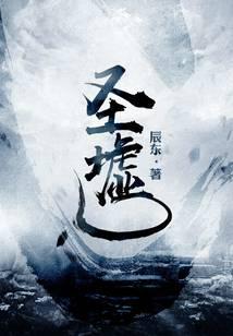 圣墟小说txt完整版下载-圣墟电子书免费下载