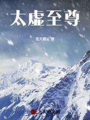 太虚至尊小说txt完整版下载-太虚至尊电子书免费下载