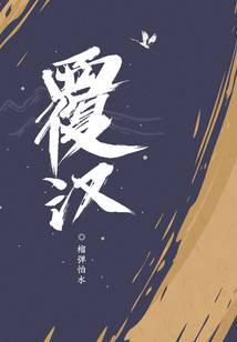 覆汉小说txt完整版下载-覆汉电子书免费下载