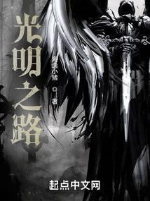 光明之路小说txt完整版下载-光明之路电子书免费下载