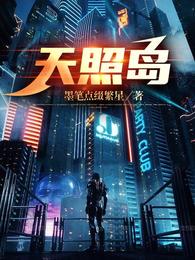 天照岛小说txt完整版下载-天照岛电子书免费下载