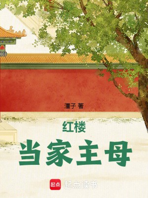 红楼当家主母小说txt完整版下载-红楼当家主母电子书免费下载