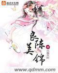 良陈美锦小说txt完整版下载-良陈美锦电子书免费下载