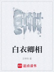 白衣卿相小说txt完整版下载-白衣卿相电子书免费下载
