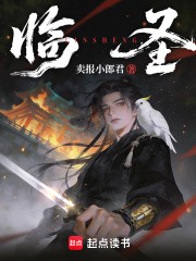临圣小说txt完整版下载-临圣电子书免费下载