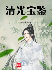 清光宝鉴小说txt完整版下载-清光宝鉴电子书免费下载